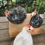 Joan Scheerman - @joanscheerman - Instagram