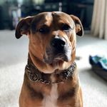 Joan Schiller - @joanschiller9623 - Instagram
