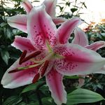 JoAnn Schnabel - @ja.schnabel - Instagram