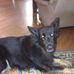 Joanne Schooley - Facebook