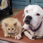 Joan Ondishin Schreiber - @ondishinschreiber - Instagram