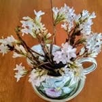Joan Schriver - @schriverjoan - Instagram