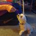 Joan Schuck - Facebook