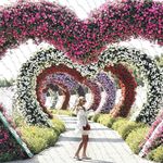 Joan Schultz - @joan_schultz_931755 - Instagram