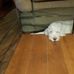 Joan Schultz - Facebook