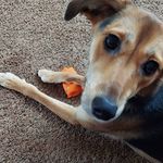 Joan Schultz-kaminski - @schultzkaminski - Instagram