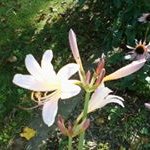 Joan Shaffer - @joans41 - Instagram