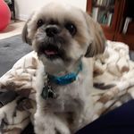 Joan Shaffer - @joan_911_ - Instagram