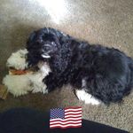 Joan Shaffer - @joan.shaffer.54 - Instagram