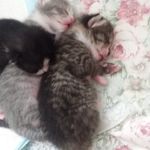 Joan Shepherd - @joanshepherd5 - Instagram
