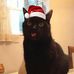 Joan Shepherd - Facebook