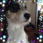 Joan Sherrill - @joansherrill - Instagram