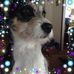 Joan Sherrill - Facebook