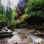Joan Shields - @shieldsjoan - Instagram