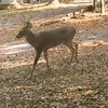 joanshields991 - @joan.m.s.99 - TikTok