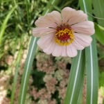 Joan Siebert - @joan_siebert - Instagram