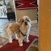 Joan Workman Siebert - Facebook