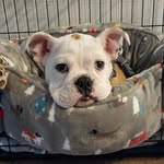 Joanne Simonds - @jsimonds012 - Instagram