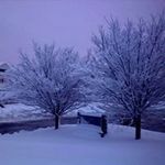 Joan Sirois - @siroisjoan - Instagram