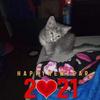joannskaggs639 - @joannskaggs639 - TikTok