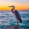 joanneslusherdoss - @joanneslusherdoss - TikTok