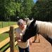 Joan Snapp - Facebook