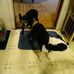 Joann Snapp - Facebook