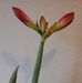 Joan Snell - Facebook