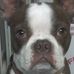 Joan Snell - Facebook