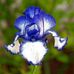 Joan Snook - Facebook