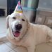 Joan Solano - Facebook