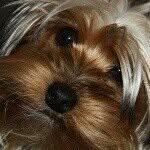 Ken-Joan Spears - @joan.spears1 - Instagram