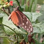 Joan Stack - @stackjo292 - Instagram