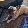 Joanne Payne-stack - @joanne.paynestack - TikTok