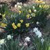 Joan Stahl Fredritz - Facebook
