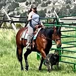 Joan Stanley - @grsbigsky - Instagram