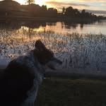 Joan Stanton - @joanstanton1623 - Instagram
