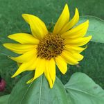 JOAN STATON - @dooststat54 - Instagram