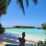 Joana Steiger - @joana.steiger.142 - Instagram