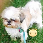 Joan Sterner - @sternerjoan - Instagram