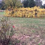 Joan Stoddard - @stoddard.joan - Instagram