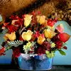 Joanne Stratton777 - @joannestratton646 - TikTok