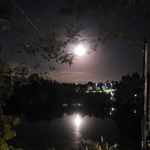 Joan Streeter - @joan.streeter.04 - Instagram