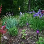 Joan Strohl - @joan.strohl.54 - Instagram