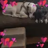joanstrohl - @joanstrohl - TikTok