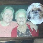 Joan E. Sutton - @suttonhighland - Instagram