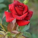 Joan Sutton - @joan.sutton.359 - Instagram