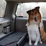 Joan Sylvester-Joseph - @joansylvesterjoseph - Instagram