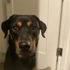 Joann Thacker775 - @joannthacker775 - TikTok
