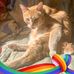 Joan Ford Tharp - Facebook